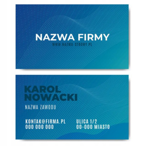 Wizytówki firmowe gotowy projekt 250 sztuk
