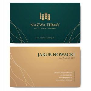 Wizytówki firmowe gotowy projekt 500 sztuk