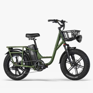 FIIDO T1 PRO fat ebike rower elektryczny 20Ah 750W 48V
