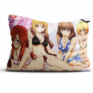 Poduszka Anime Dakara Boku wa, H ga DUŻY WYBÓR