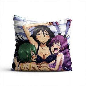 Poduszka Infinite Stratos Anime Manga DO WYBORU