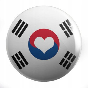 Przypinki Manga Anime Korea KPOP K-POP DUŻY WYBÓR