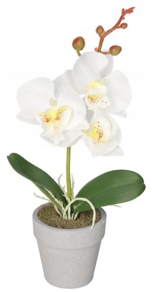 Sztuczne Kwiaty W Doniczce Storczyk Orchidea