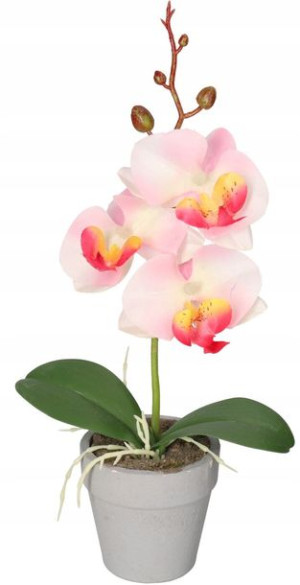 Sztuczne Kwiaty W Doniczce Storczyk Orchidea