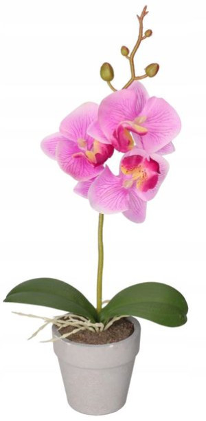 Sztuczne Kwiaty W Doniczce Storczyk Orchidea