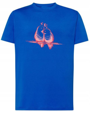 Walentynki T-Shirt męski Ptaszki Miłość r.XS