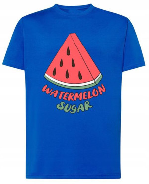 Watermelon Sugar Arbuz T-shirt Nadruk Rozm.M