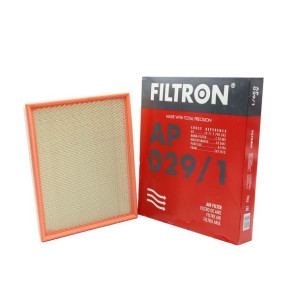 Filtr Powietrza Filtron AP029/1