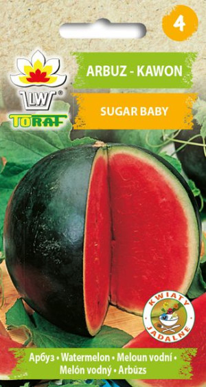 Arbuz Kawon Sugar Baby nasiona arbuza Toraf