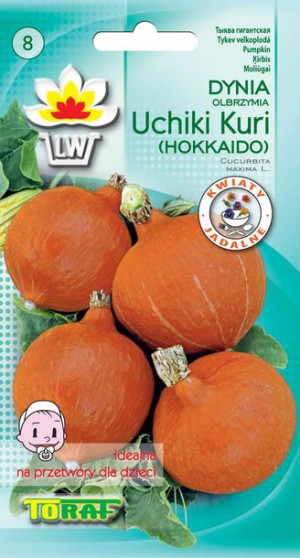 Dynia japońska Uchiki Kuri Hokkaido Toraf