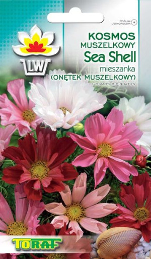 Onętek muszelkowy Kosmos Sea Shell MIX nasiona Toraf