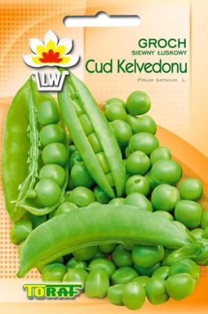 Groch siewny Cud Kelvedonu groszek nasiona Toraf 50g