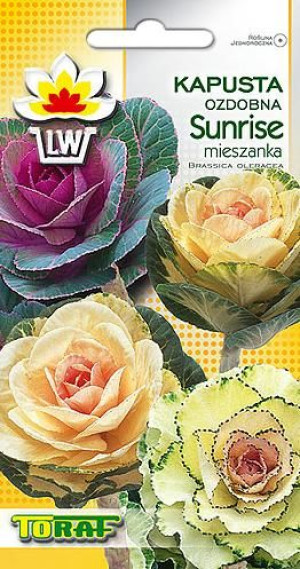 Kapusta Ozdobna Sunrise łodygowa nasiona Toraf