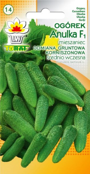 Ogórek Anulka korniszonowy wczesny nasiona Toraf