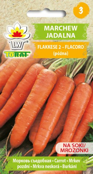 Marchew Flakkese Flacoro późna nasiona Toraf