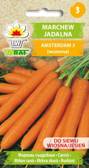 Marchew Amsterdam wczesna nasiona Toraf