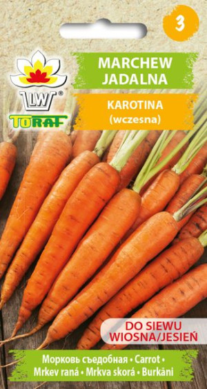 Marchew Karotina karotka wczesna nasiona Toraf