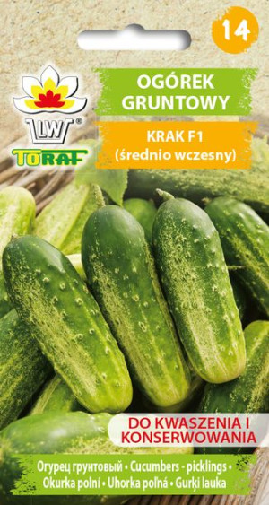 Ogórek Krak gruntowy wczesny nasiona Toraf