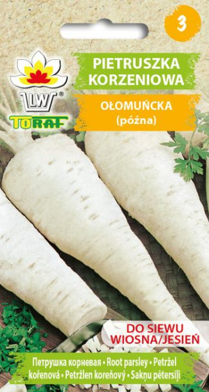 Pietruszka Ołomuńcka korzeniowa późna Toraf