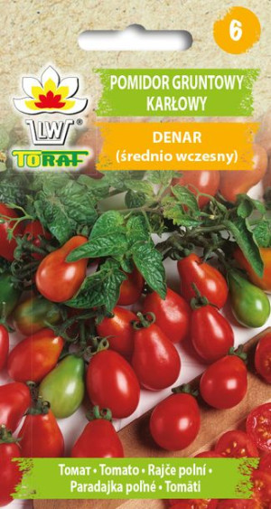 Pomidor Denar gruntowy karłowy nasiona Toraf 0,5