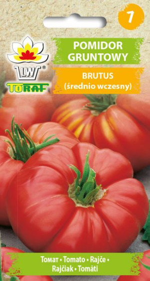 Pomidor Brutus tyczny gruntowy wczesny Toraf