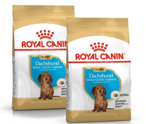 Royal Canin Dachshund Puppy 2x1,5kg
