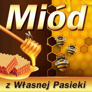 Baner reklamowy MIÓD Z WŁASNEJ PASIEKI 1x1m