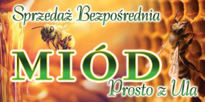 Baner reklamowy Sprzedaż Bezpośrednia 2x1m
