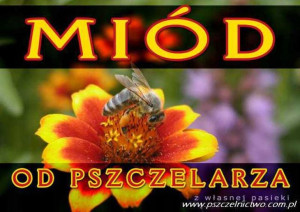 Tablica informacyjna ciemna XXL