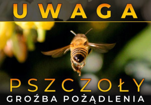 Tablica ostrzegawcza duża Pszczoła z tyłu
