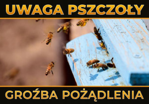 Tablica ostrzegawcza mała pszczoły.