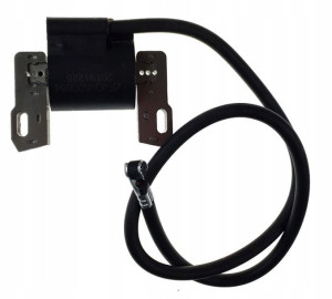 Cewka Briggs B&s 398811 395492 398265 298968