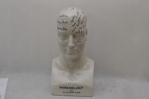 Giga Głowa Medyczna Lekarska Mapa Mózgu Porcelana