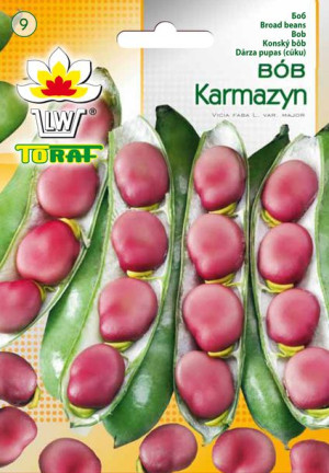 Bób Karmazyn Czerwony wczesny nasiona bobu Toraf