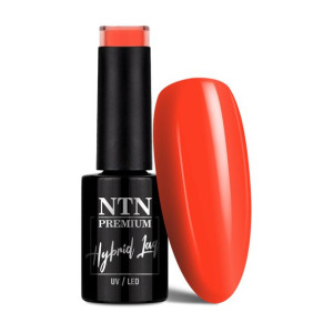 NTN Lakier hybrydowy do paznokci manicure 142 5g