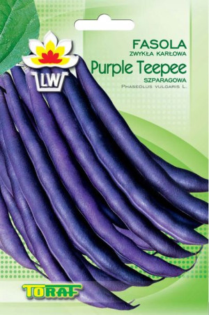 Fasola Purple Teepee fioletowa karłowa nasiona Toraf