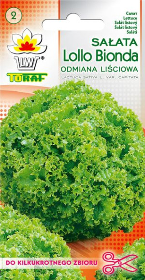 Sałata Lollo Bionde kędzierzawa liściowa zielona Toraf 1g