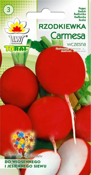 Rzodkiewka Carmesa wczesna okrągła nasiona Toraf 10g