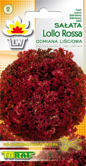 Sałata Lollo Rossa czerwona kędzierzawa Toraf 1g