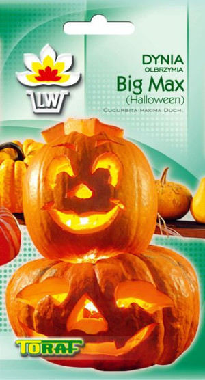 Dynia olbrzymia Big Max Halloween nasiona Toraf