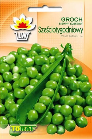 Groch Sześciotygodniowy zielony groszek nasiona Toraf