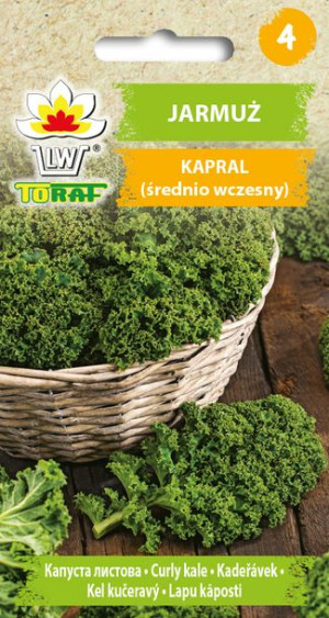Jarmuż Kapral wczesny nasiona jarmużu Toraf