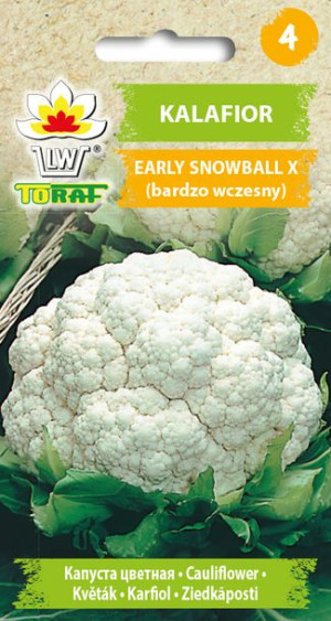 Kalafior Early Snowball X bardzo wczesny Toraf