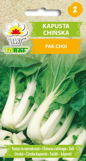 Kapusta chińska Pak Choi Joi Choi nasiona Toraf