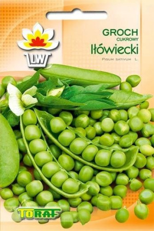 Groch Iłówiecki zielony groszek wczesny Toraf 50g
