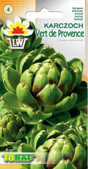 Karczoch Vert de Provence nasiona karczocha Toraf