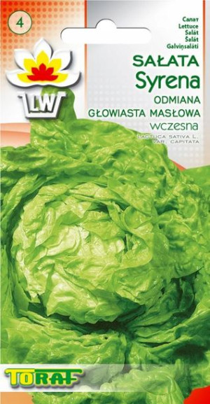 Sałata Syrena masłowa wczesna nasiona Toraf