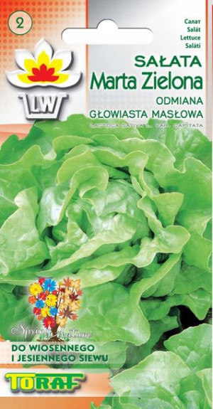 Sałata Marta Zielona masłowa nasiona Toraf