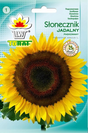 Słonecznik Jadalny Paskowany nasiona siewu Toraf