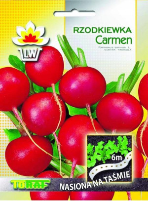 Rzodkiewka Carmen nasiona na Taśmie 6m Toraf